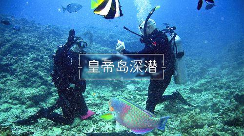 win11开机检查磁盘为什么蜗牛问答-专业解答你的疑问